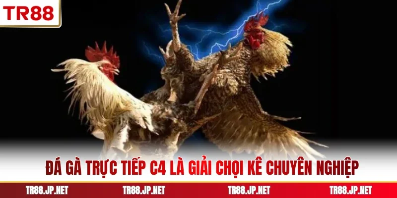 Đá gà trực tiếp c4 là giải chọi kê chuyên nghiệp