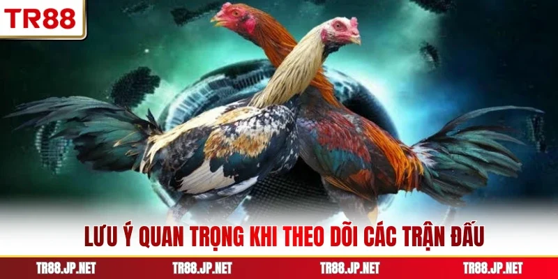 Lưu ý quan trọng khi theo dõi các trận đấu